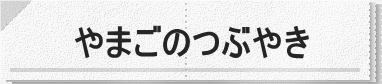 山行中の実況中継など携帯電話からの送信です。